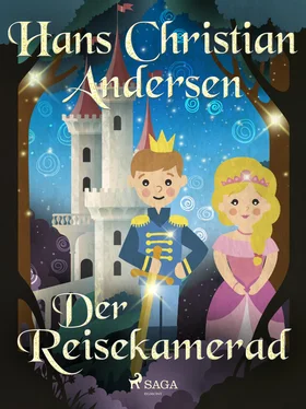 Hans Christian Der Reisekamerad обложка книги