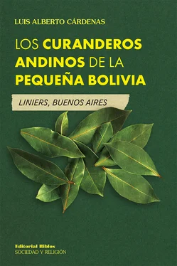 Luis Alberto Cárdenas Los curanderos andinos de la pequeña Bolivia обложка книги