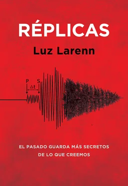 Luz Larenn Réplicas обложка книги