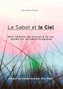 Carmen Paul Le Sabot et le Ciel обложка книги