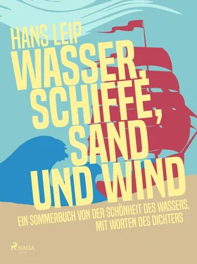 Hans Leip Wasser, Schiffe, Sand und Wind обложка книги