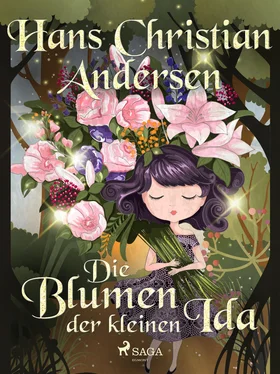 Hans Christian Die Blumen der kleinen Ida обложка книги
