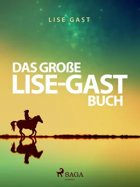 Lise Gast Das große Lise-Gast-Buch обложка книги