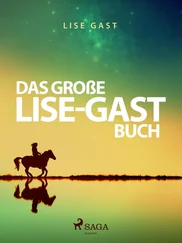 Lise Gast - Das große Lise-Gast-Buch