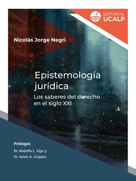 Nicolás Jorge Negri Epistemología jurídica обложка книги