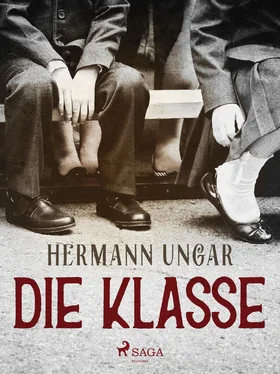 Hermann Ungar Die Klasse обложка книги