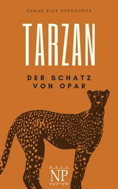 Edgar Burroughs Tarzan – Band 5 – Der Schatz von Opar обложка книги