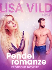 Lisa Vild - Pendelromanze - Erotische Novelle