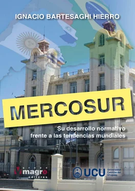 Ignacio Bartesaghi Hierro MERCOSUR обложка книги