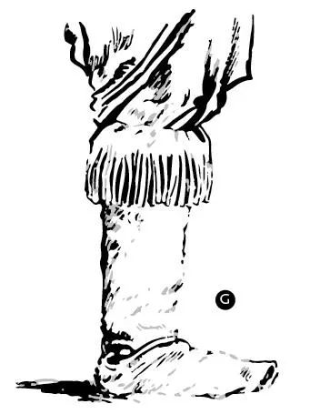 d Bota de potro One of the pieces of clothing the gaucho wore the most and - фото 57