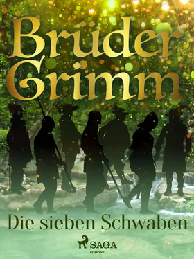 Brüder Grimm Die sieben Schwaben обложка книги