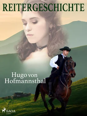 Hugo Hofmannsthal Reitergeschichte обложка книги
