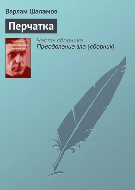 Варлам Шаламов Перчатка обложка книги