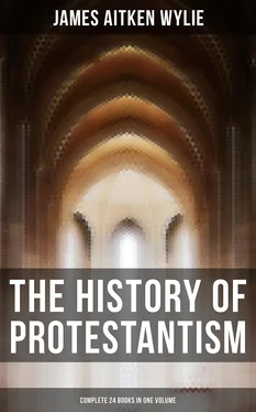James Aitken Wylie The History of Protestantism (Complete 24 Books in One Volume) обложка книги