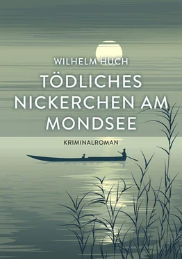 Wilhelm Huch Tödliches Nickerchen am Mondsee обложка книги