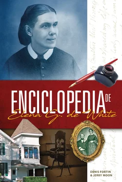 Denis Fortin Enciclopedia de Elena G. de White обложка книги