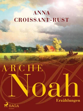Anna Croissant-Rust Arche Noah обложка книги