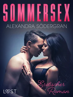 Alexandra Södergran Sommersex - Erotischer Roman обложка книги