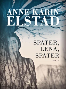 Anne Karin Elstad Später, Lena, später обложка книги