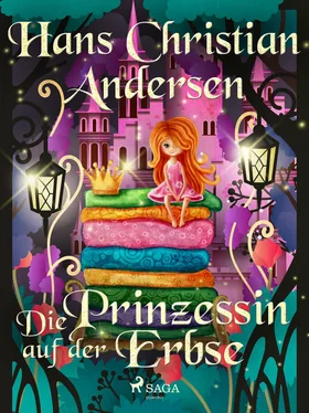 Hans Christian Die Prinzessin auf der Erbse обложка книги