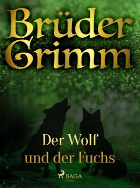 Brüder Grimm Der Wolf und der Fuchs обложка книги