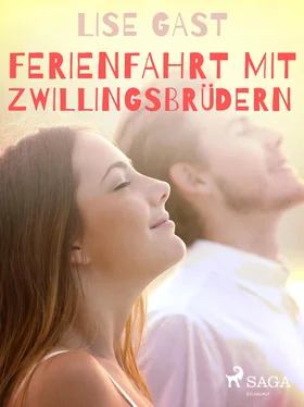 Lise Gast Ferienfahrt mit Zwillingsbrüdern обложка книги
