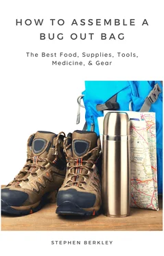 Stephen Berkley How to Assemble a Bug Out Bag: The Best Food, Supplies, Tools, Medicine, & Gear обложка книги