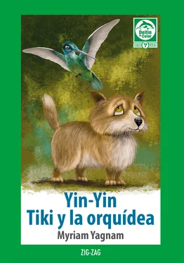 Myriam Yagnam Yin Yin – Tiki y la orquídea обложка книги