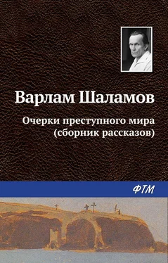 Варлам Шаламов Очерки преступного мира (сборник) обложка книги