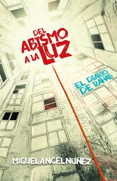 Miguel Ángel Nuñez Del abismo a la luz обложка книги
