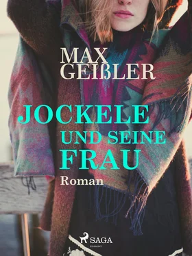 Max Geißler Jockele und seine Frau обложка книги