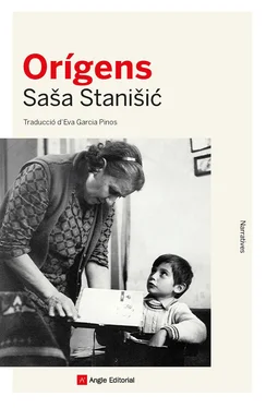 Saša Stanišić Orígens обложка книги