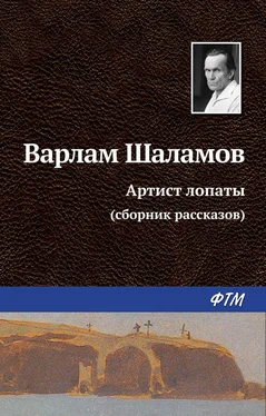 Варлам Шаламов Артист лопаты (сборник) обложка книги