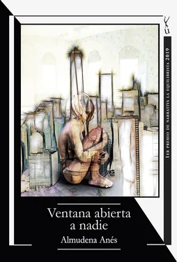 Almudena Anés Ventana abierta a nadie обложка книги