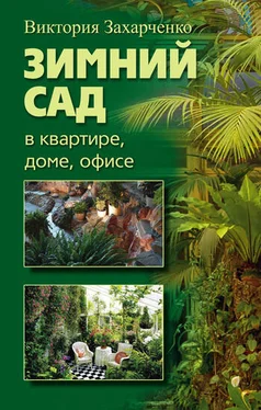 Виктория Захарченко Зимний сад в квартире, доме, офисе обложка книги