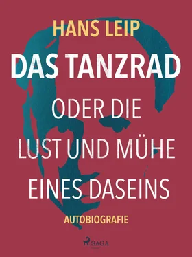 Hans Leip Das Tanzrad oder Die Lust und Mühe eines Daseins обложка книги