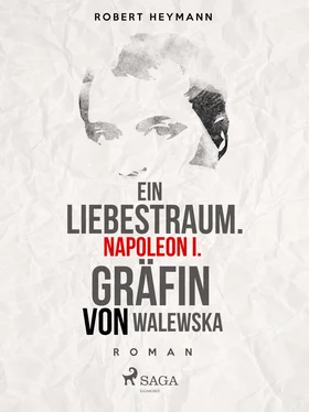 Robert Heymann Ein Liebestraum. Napoleon I. Gräfin von Walewska обложка книги