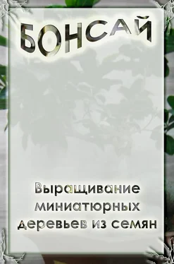 Илья Мельников Выращивание миниатюрных деревьев из семян обложка книги