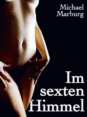 Michael Marburg Im sexten Himmel обложка книги