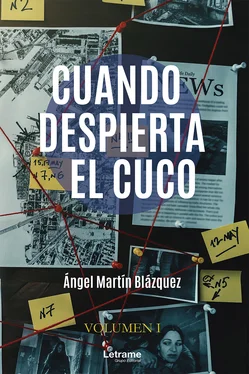 Ángel Martín Blázquez Cuando despierta el cuco обложка книги