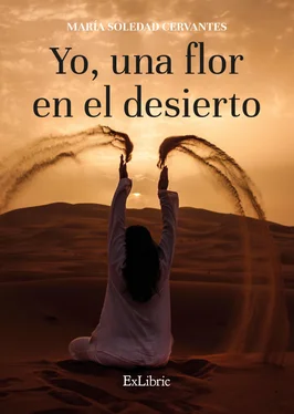 María Soledad Cervantes Yo, una flor en el desierto обложка книги