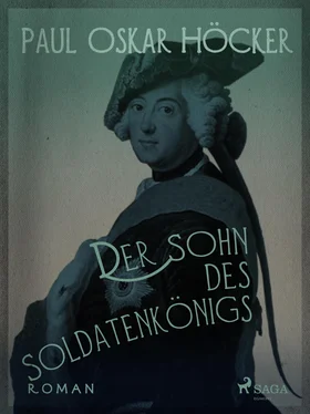Paul Oskar Höcker Der Sohn des Soldatenkönigs обложка книги