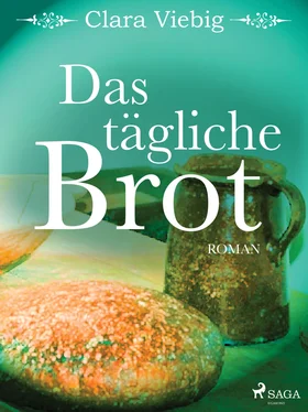 Clara Viebig Das tägliche Brot обложка книги