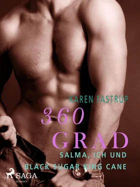 Karen Fastrup 360 Grad - Salma, ich und Black Sugar King Cane обложка книги