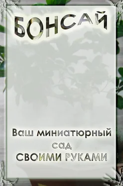 Илья Мельников Ваш миниатюрный сад своими руками обложка книги