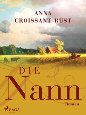 Anna Croissant-Rust Die Nann обложка книги