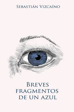 Sebastián Vizcaíno Breves fragmentos de un azul обложка книги