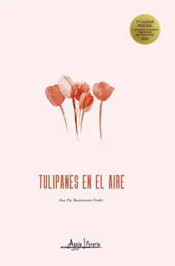 Ana Pía Bustamante Fredes Tulipanes en el aire обложка книги