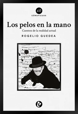 Guadalupe Nettel Los pelos en la mano обложка книги