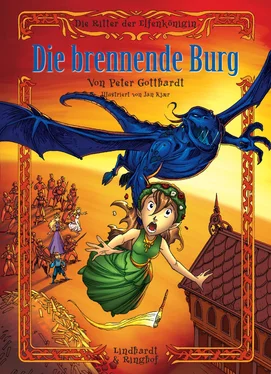 Peter Gotthardt Die Ritter der Elfenkönigin 3: Die brennende Burg обложка книги